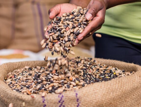 Agro Trade International delivers complete export and supply chain management solutions for global agro-business operations. We coordinate logistics, documentation, and delivery to ensure smooth and timely movement of goods worldwide.